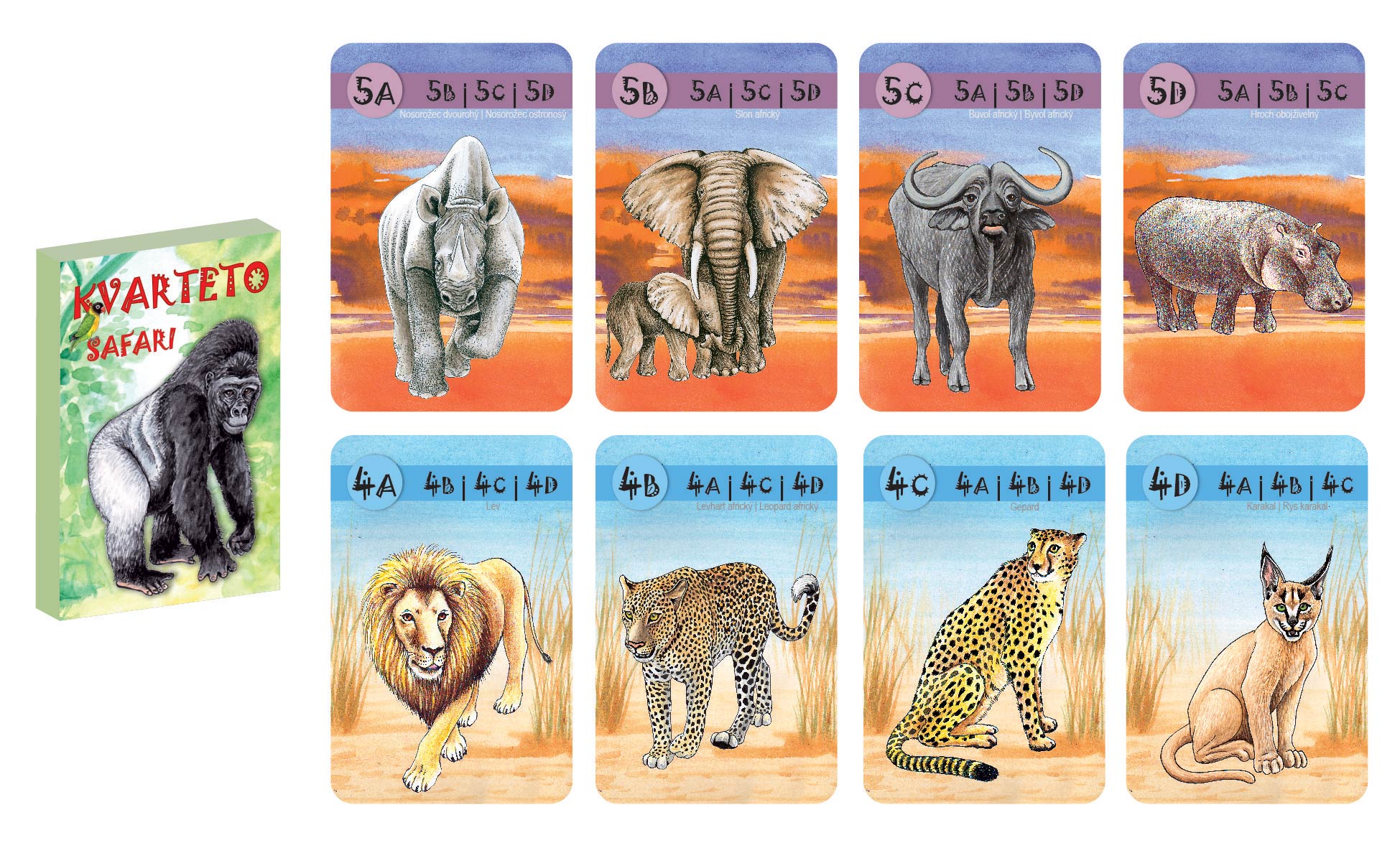 Szafari kvartett kártyák